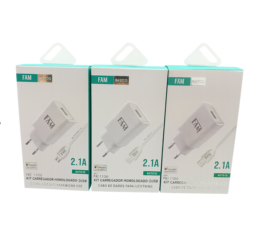 Carregadores USB para Todos os Dispositivos: Tipo-C, Mini USB e Lightning