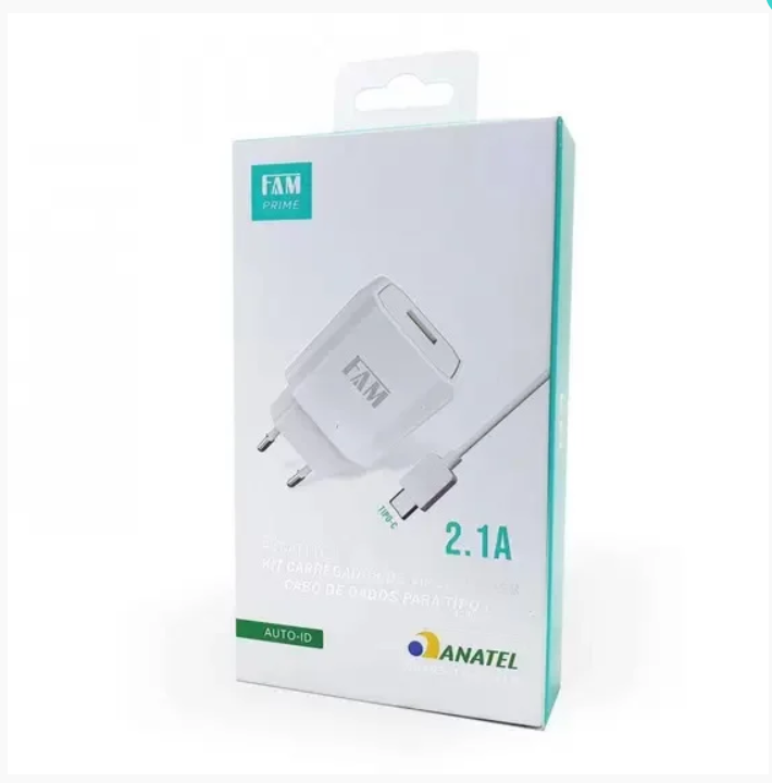 Carregadores USB para Todos os Dispositivos: Tipo-C, Mini USB e Lightning