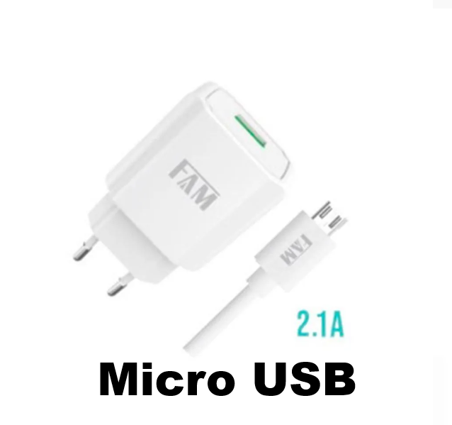 Carregadores USB para Todos os Dispositivos: Tipo-C, Mini USB e Lightning