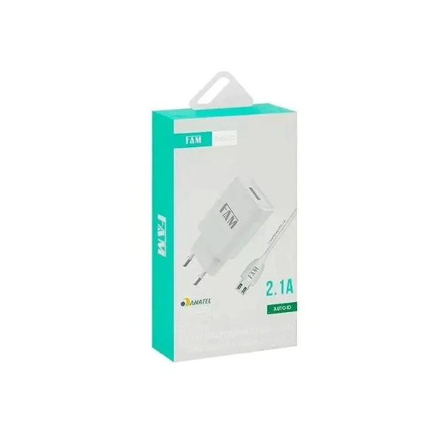 Carregadores USB para Todos os Dispositivos: Tipo-C, Mini USB e Lightning